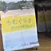 展覧会場の様子1